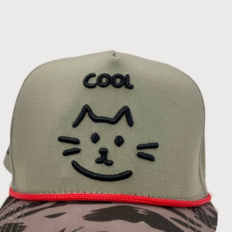 Cool Cat Tabby Vibes