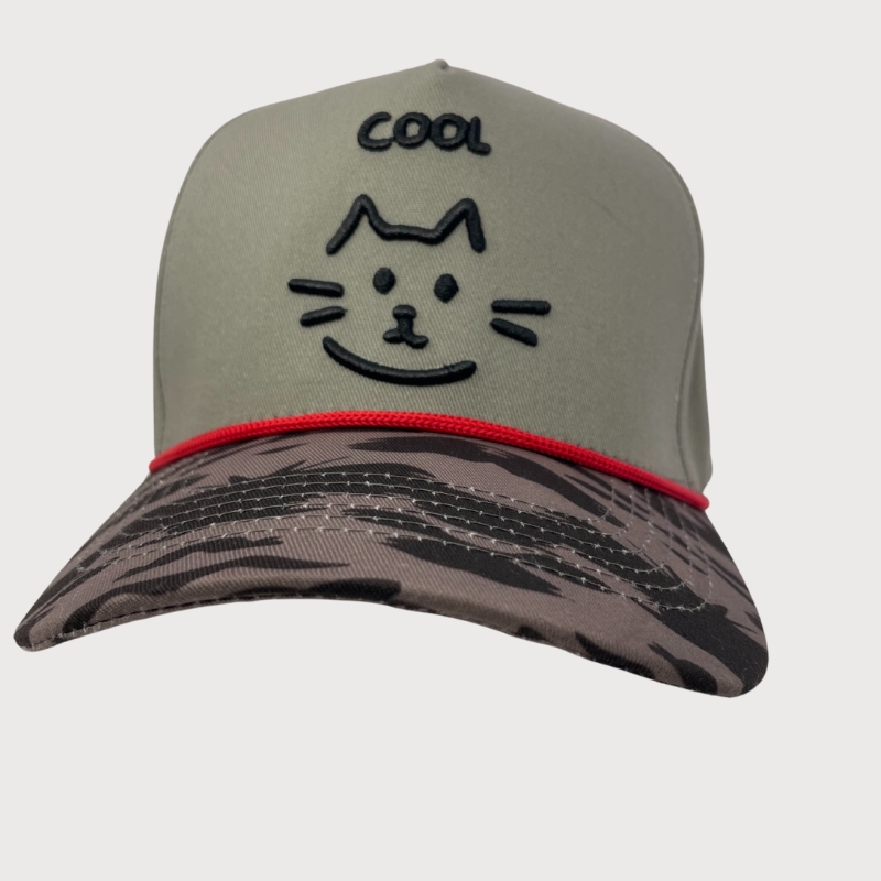 Cool Cat Tabby Vibes